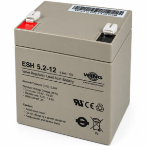 Wing ESH 5,2-12