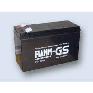 Fiamm 12FGH36 (Alte Bezeichnung: FGH20902)