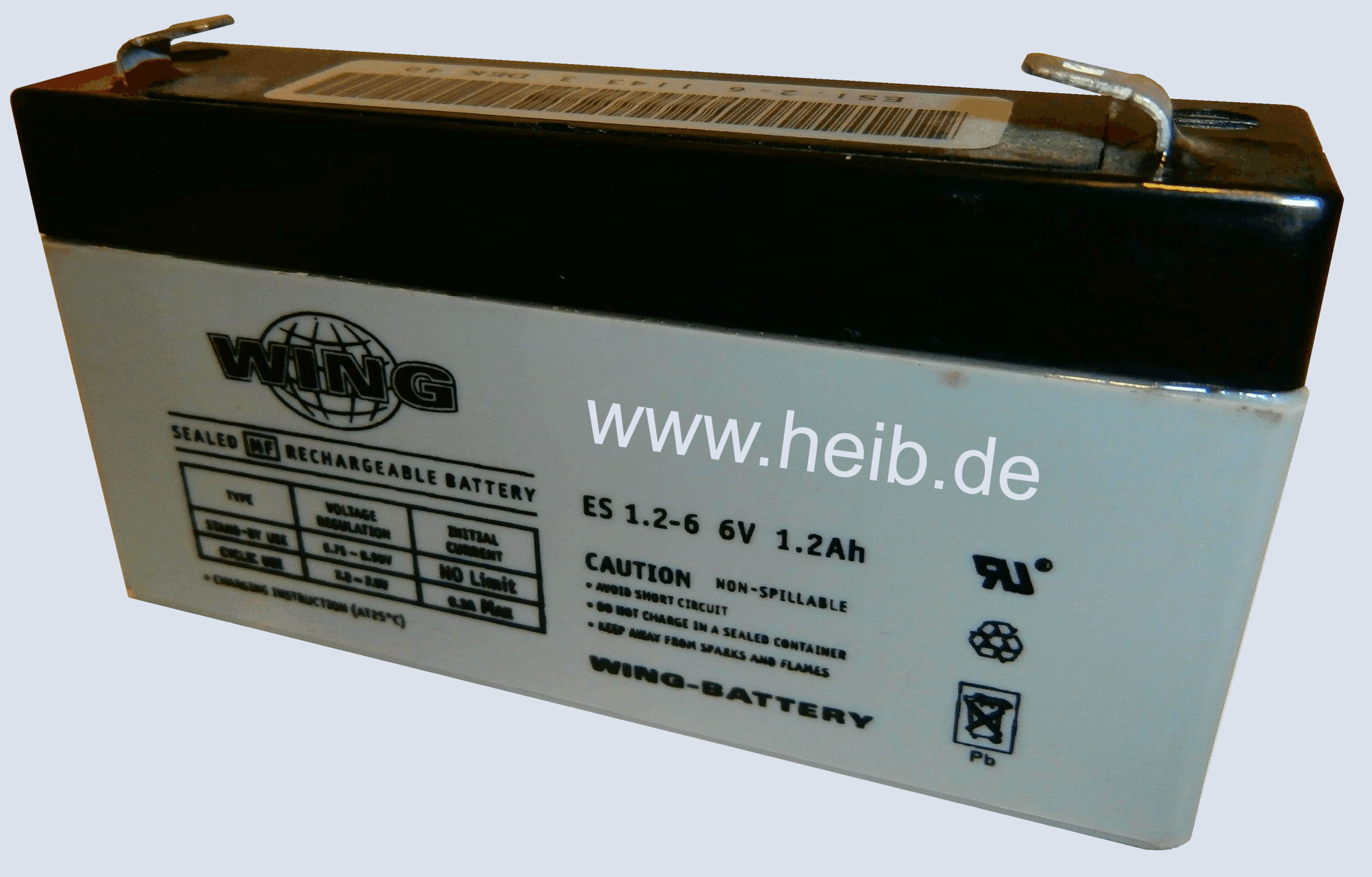 Wing - Wartungsfreie Bleibatterie ES 1,2-6
