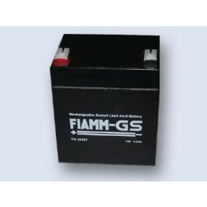 Fiamm FG20451