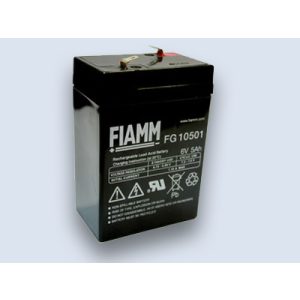 Fiamm FG10501