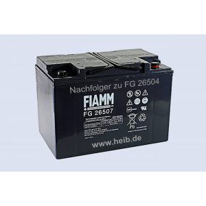 Fiamm Endurlite LM 1000