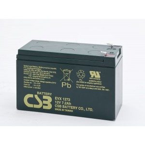 CSB EVX1272