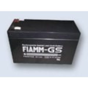 FIAMM FG20721 VdS